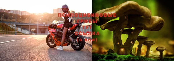 гашишное масло Абинск