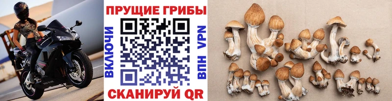 Галлюциногенные грибы Cubensis  Щёкино 